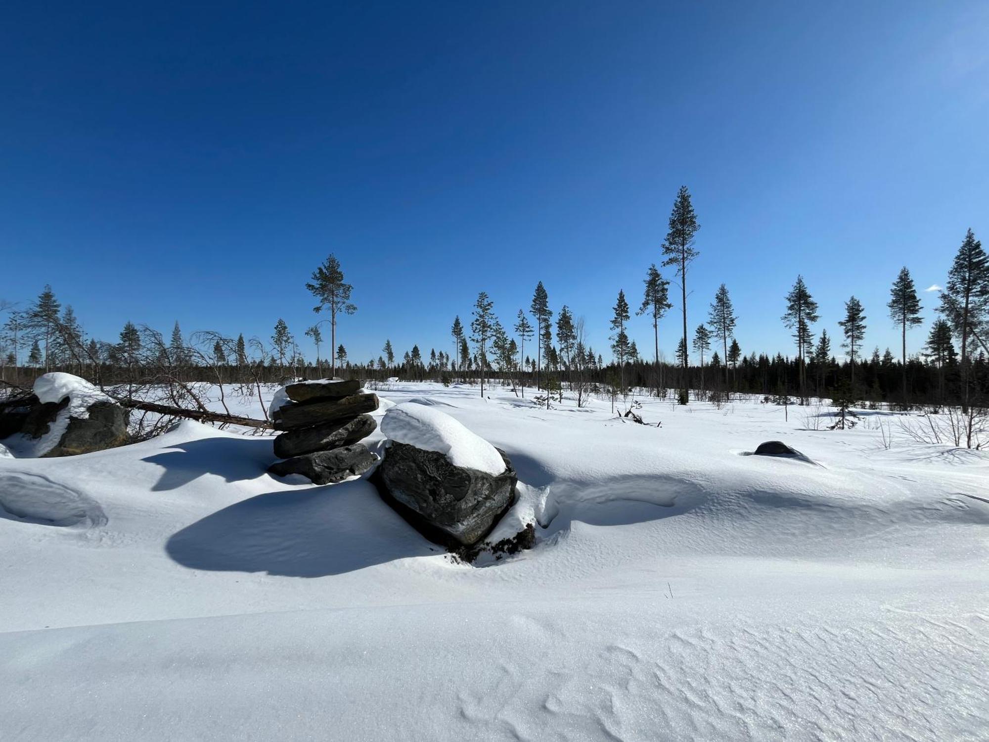 Log Cottages In 10 Min From Santa Claus Village-Sauna&Freeparking Рованиеми Екстериор снимка