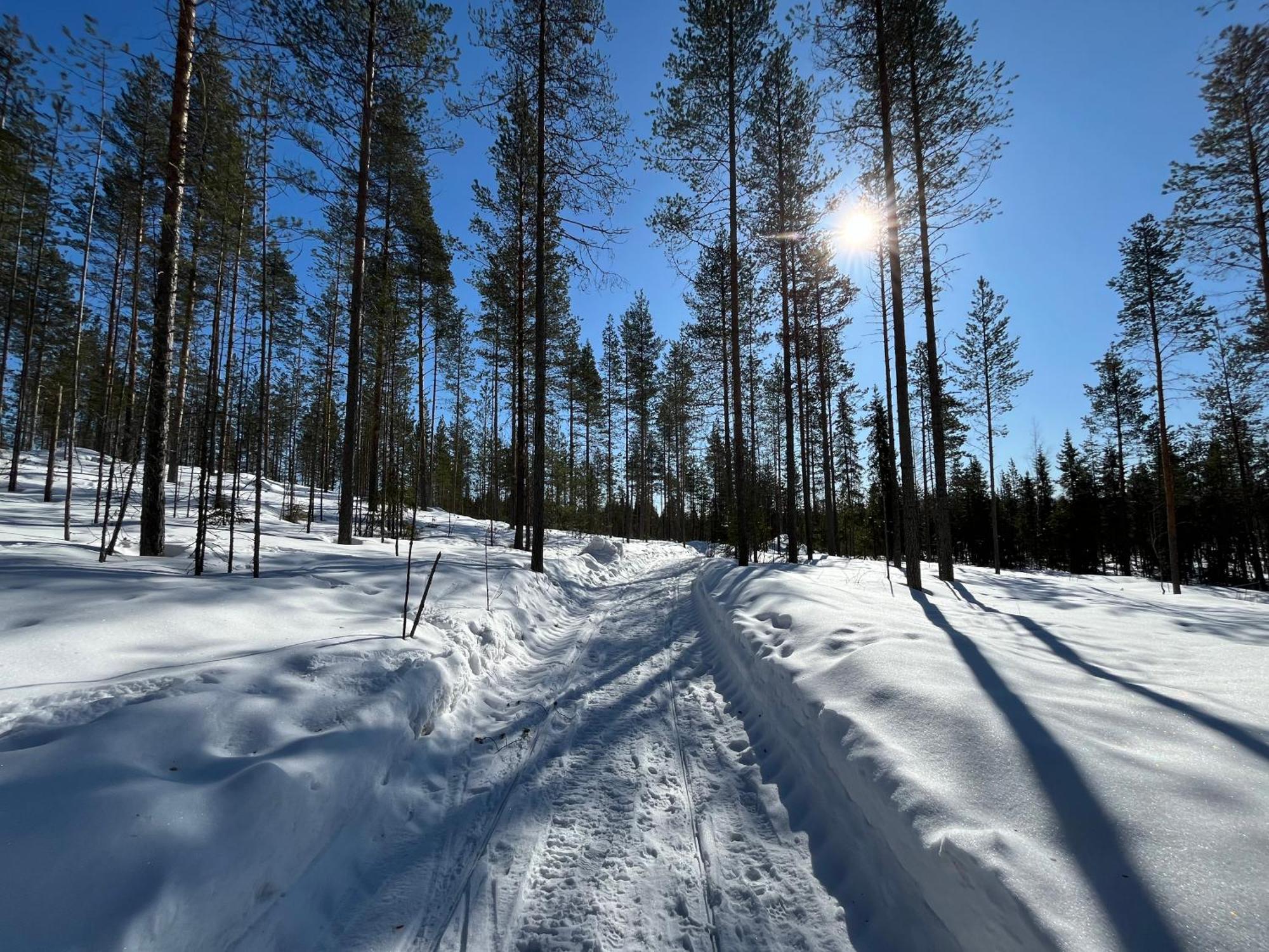 Log Cottages In 10 Min From Santa Claus Village-Sauna&Freeparking Рованиеми Екстериор снимка